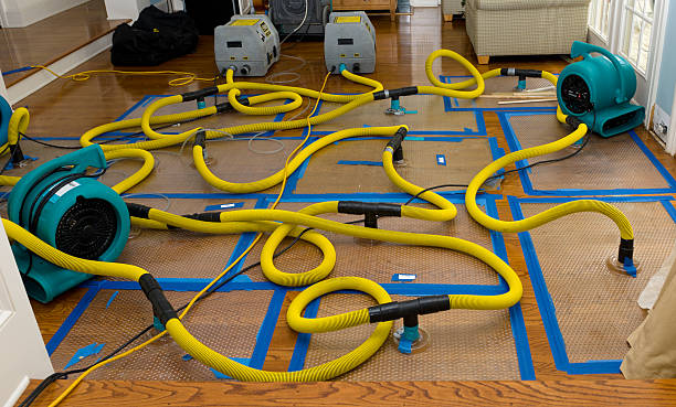 Professional Basement Flood Cleanup technician working in West Millgrove, OH